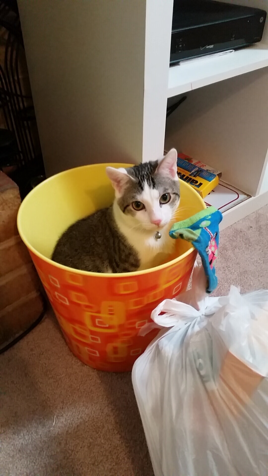 马赛的刻度,当阿克熄灭塞维利亚最后一缕光