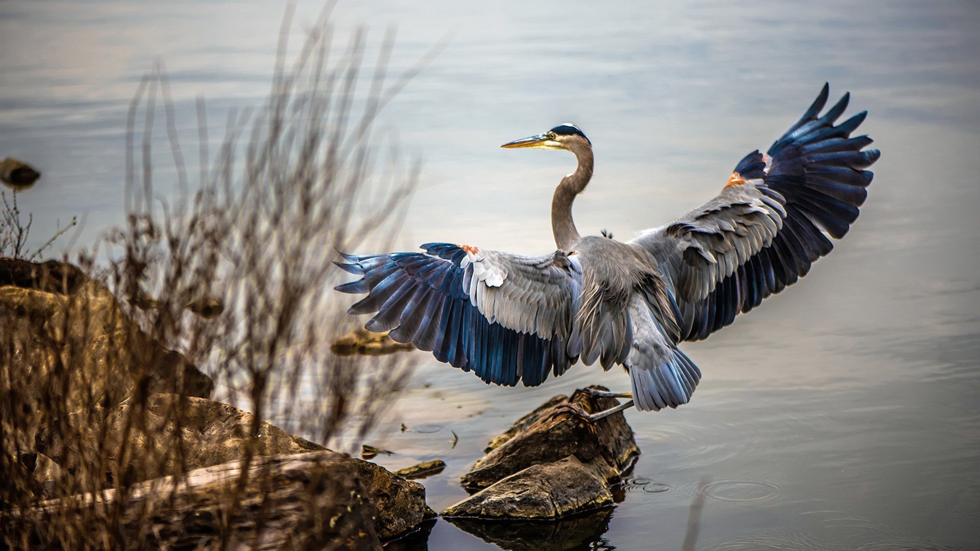 法比尼奥的中场独奏会，一份数据报告如何诠释雷恩对马赛的统治级胜利