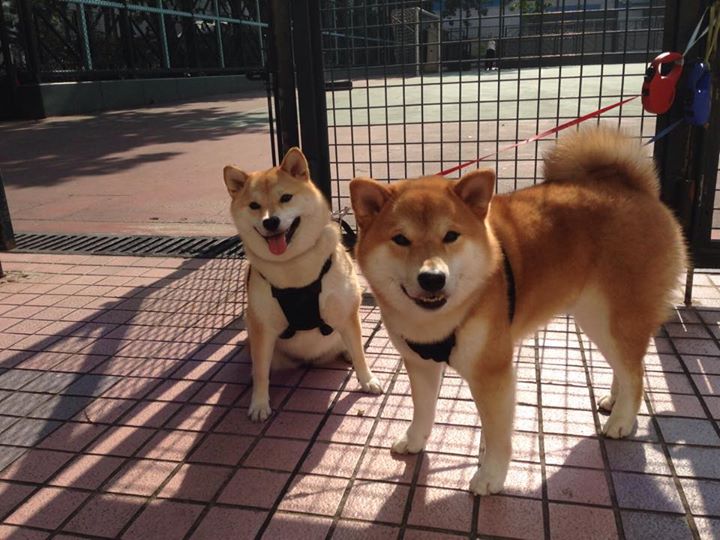 爆冷夜启示录，当团队篮球与关键先生重新定义胜负