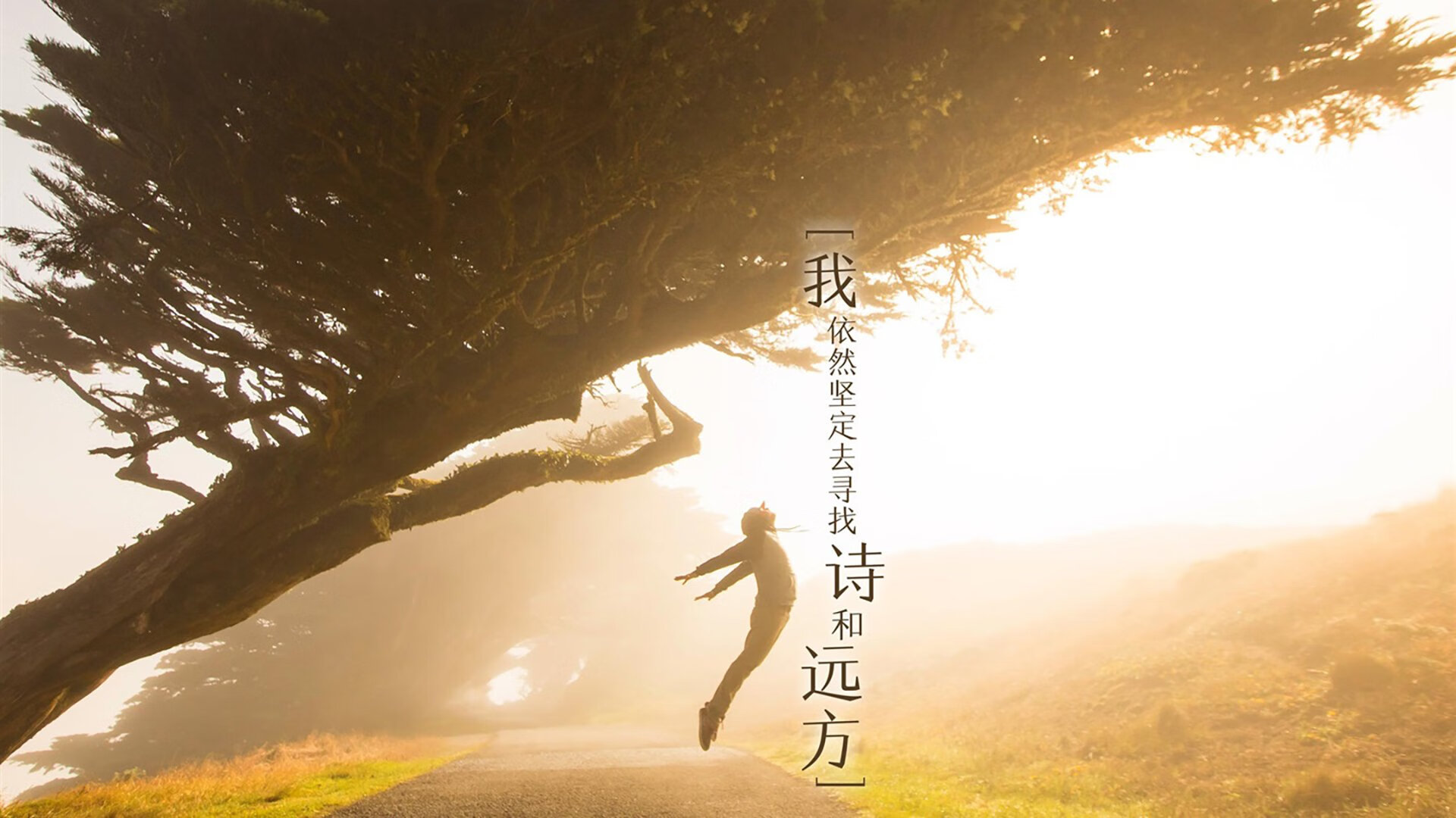 巅峰对决，国际米兰力克荷兰劲旅，奥纳纳一夫当关定乾坤